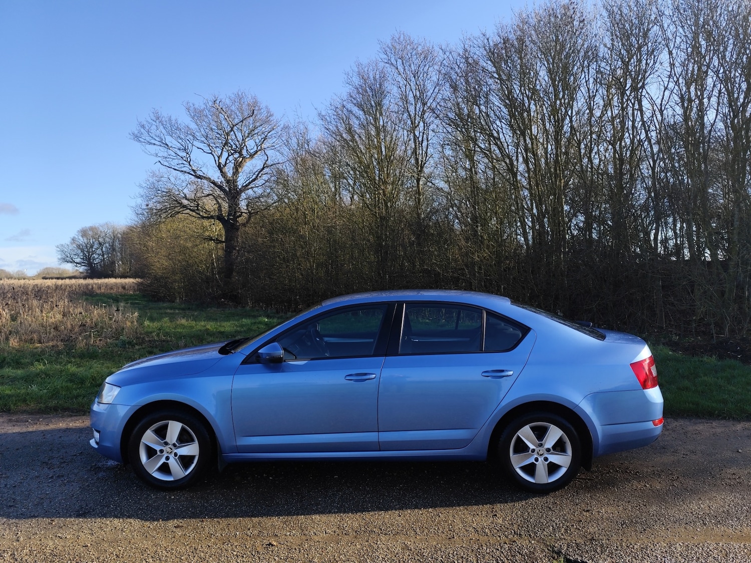 Used Skoda Octavia 2014 for sale - 77567439: Photo 6