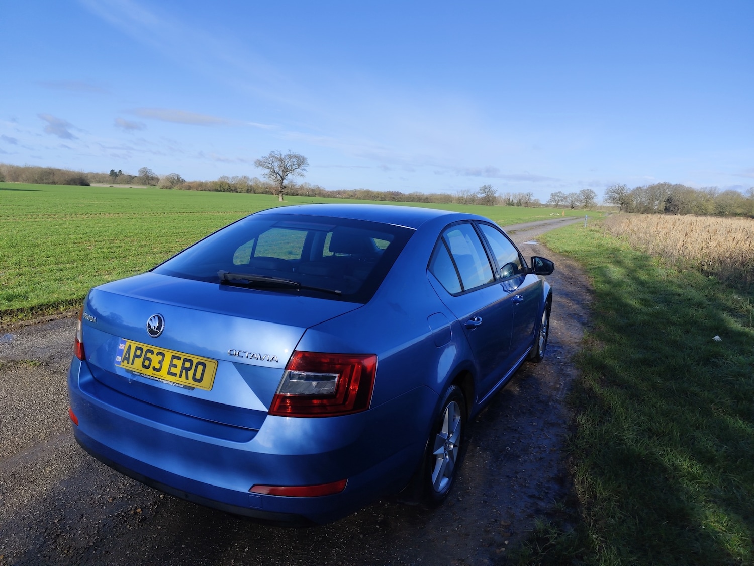 Used Skoda Octavia 2014 for sale - 77567439: Photo 9