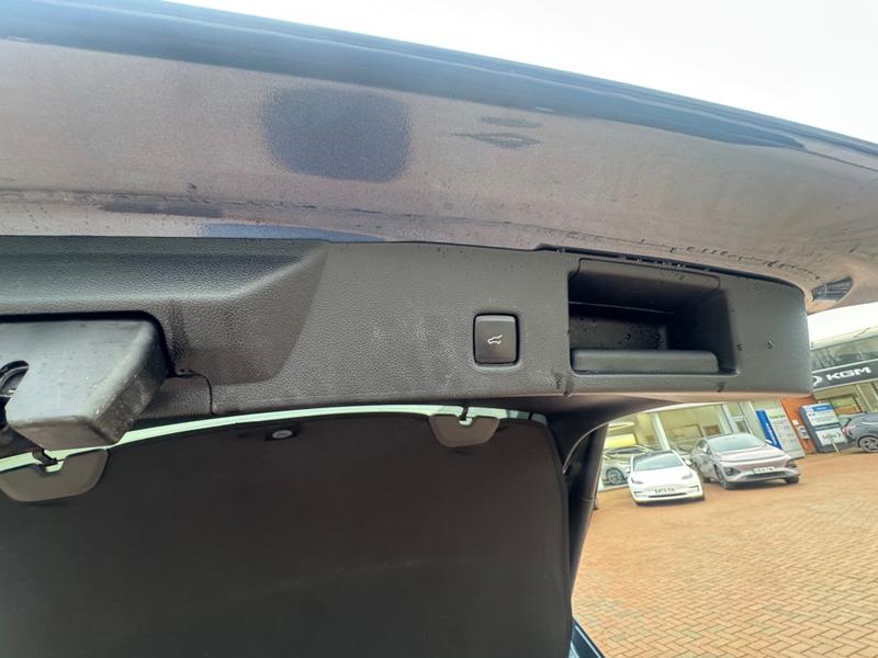 Used Ford Kuga 2022 for sale - 77989031: Photo 19