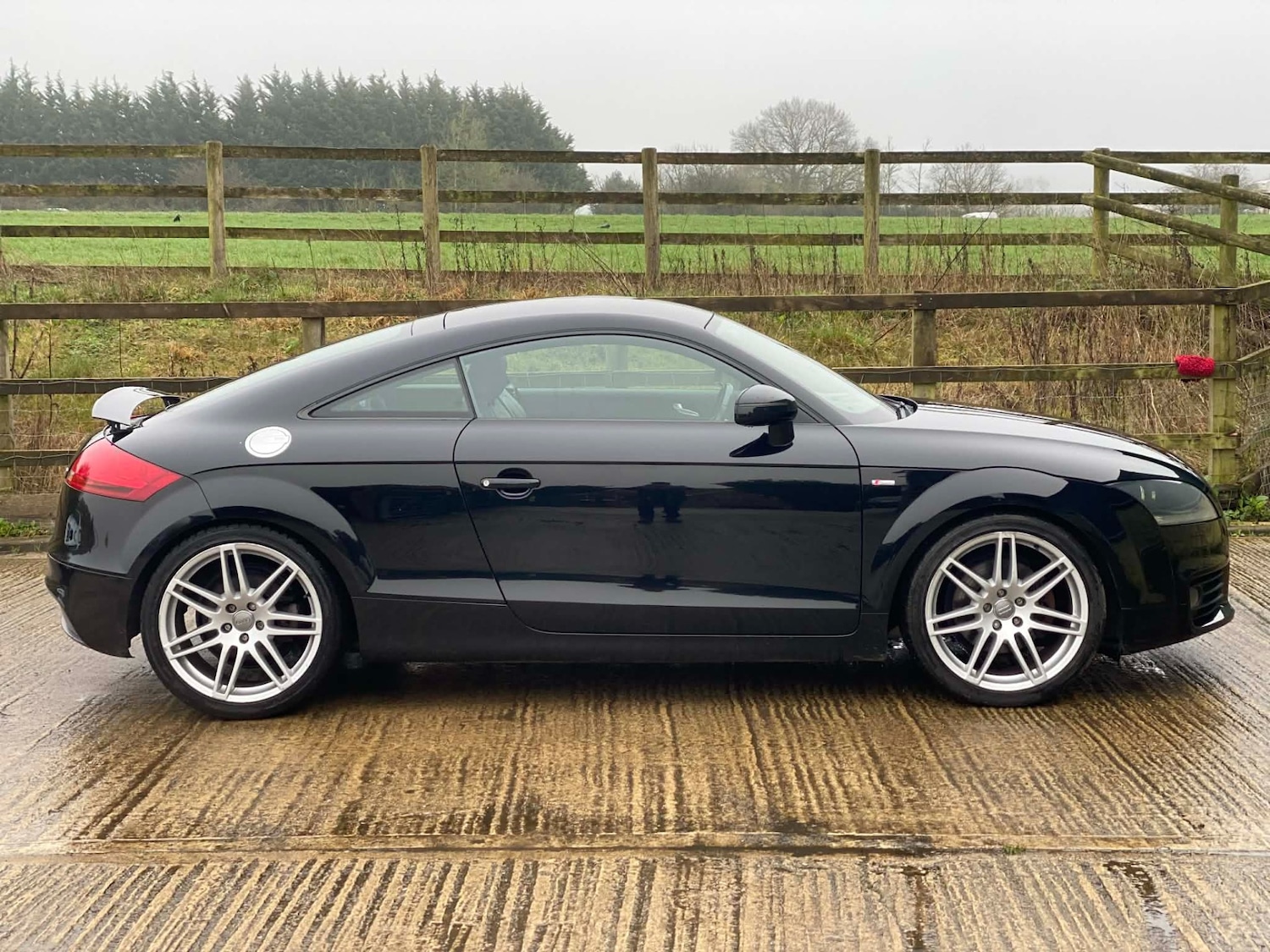 Used Audi TT 2010 for sale - 77546092: Photo 2