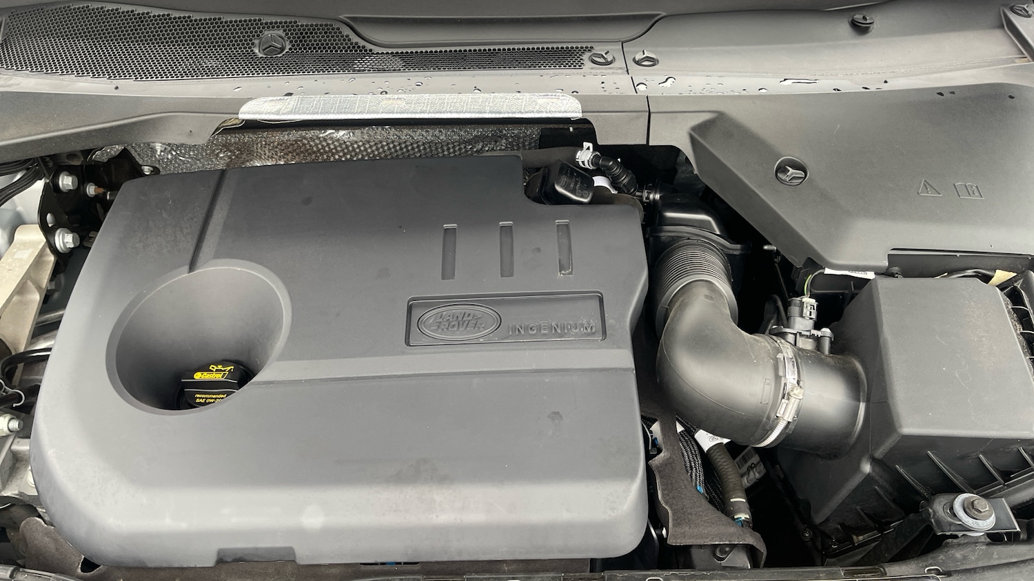 Used Land Rover Discovery Sport 2024 for sale - 77423286: Photo 16