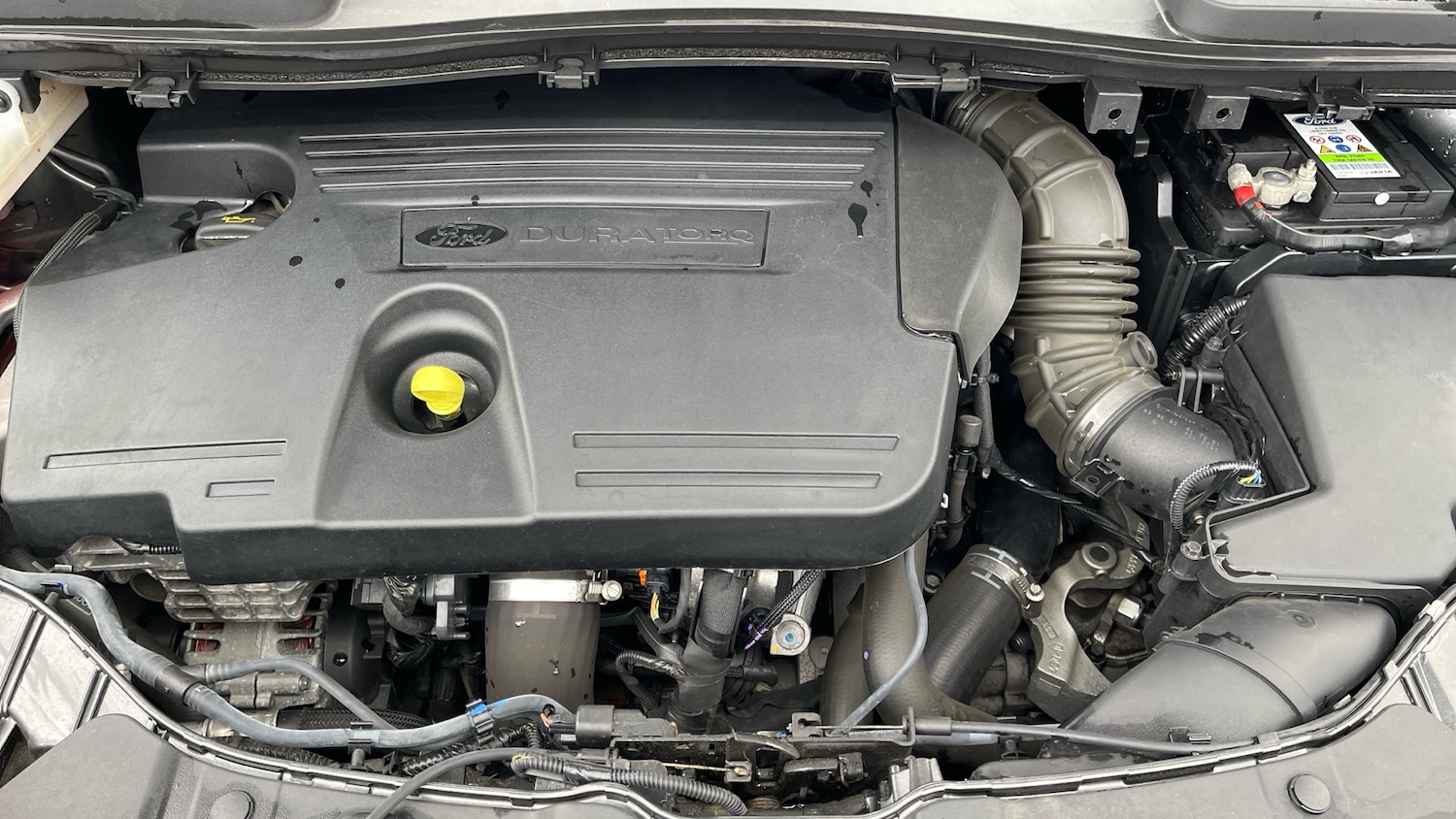 Used Ford Kuga 2019 for sale - 78070268: Photo 16