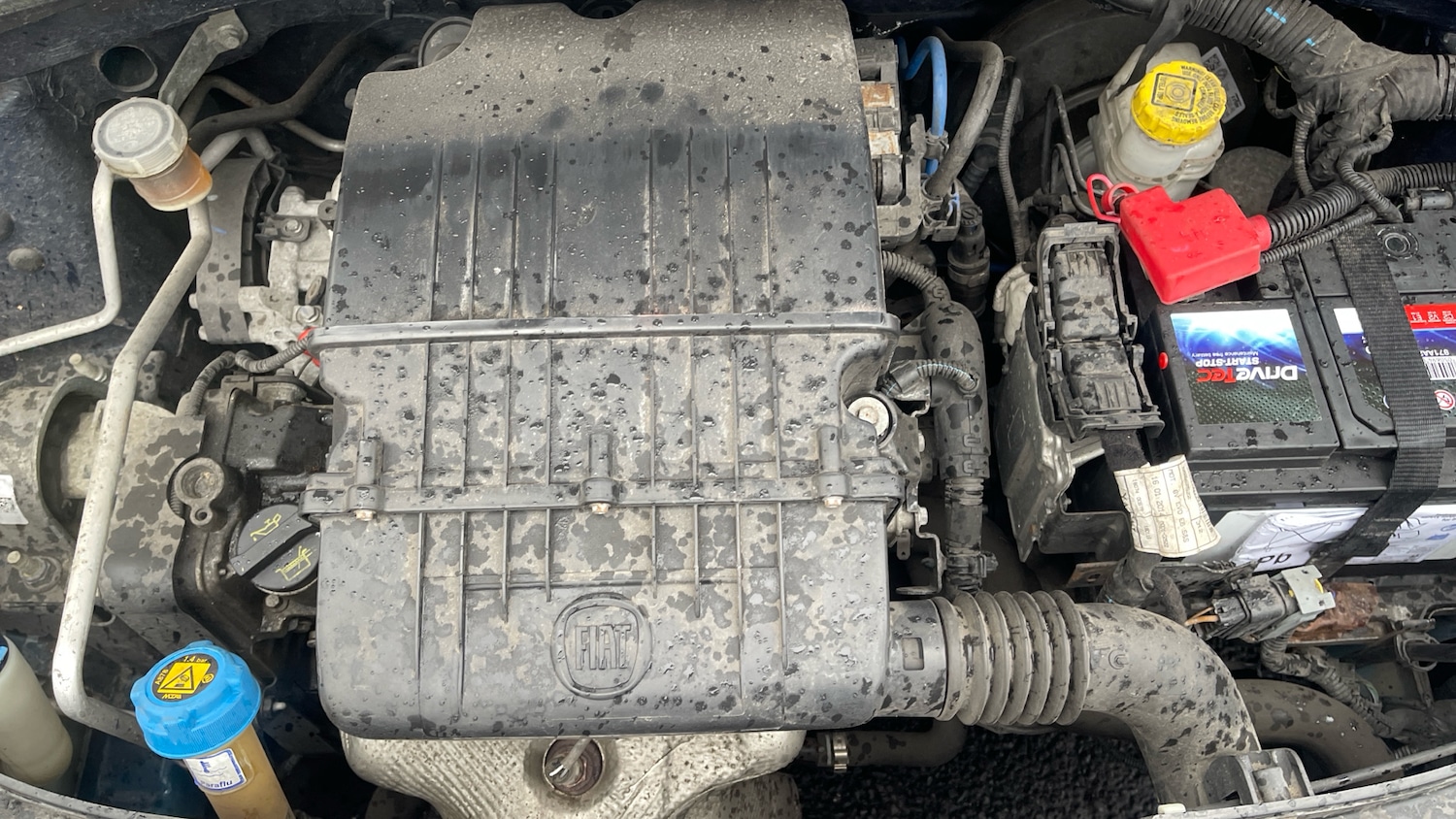 Used Fiat 500 2015 for sale - 76741019: Photo 16