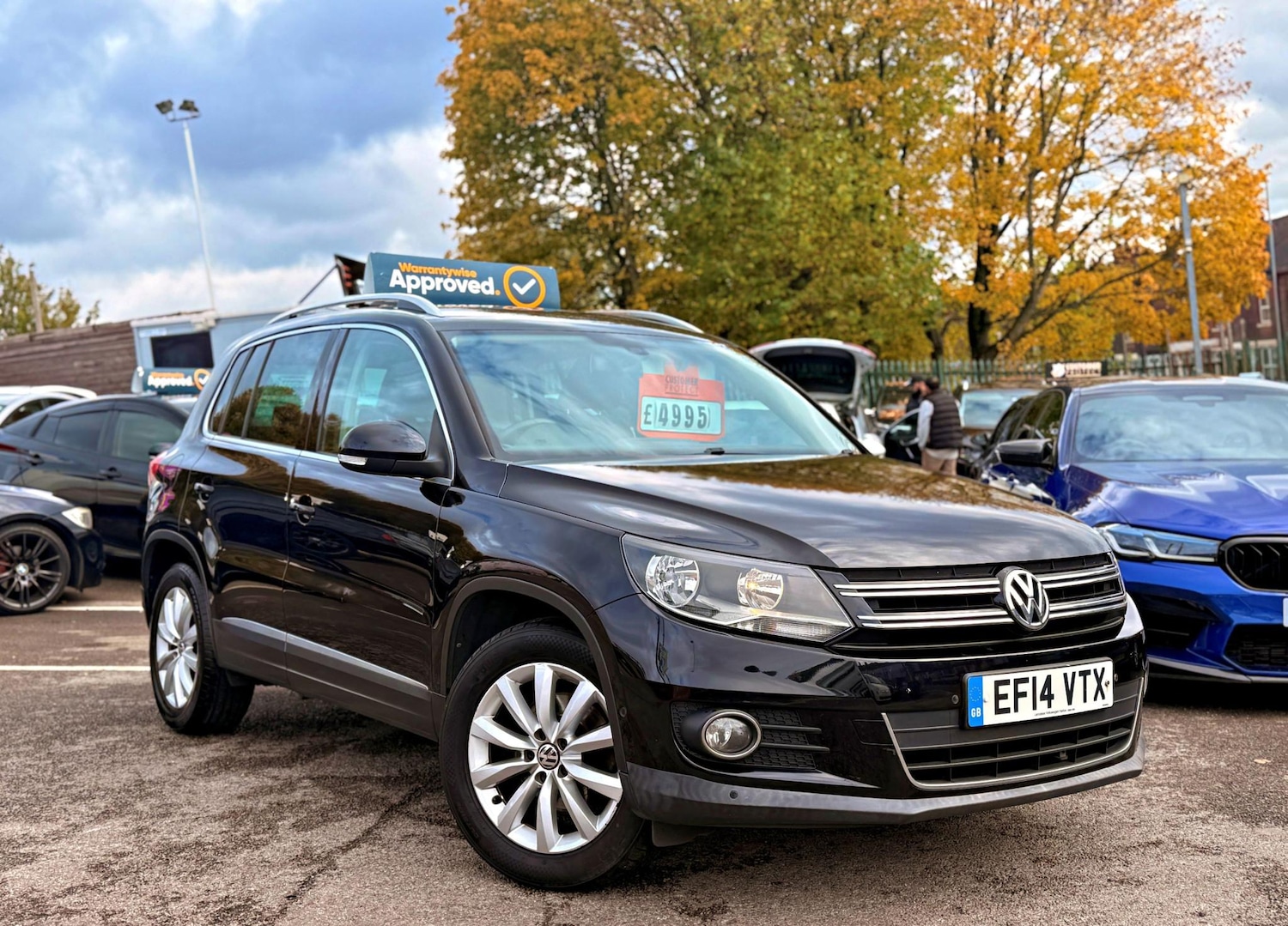Used Volkswagen Tiguan 2014 for sale - 76332818: Photo 1