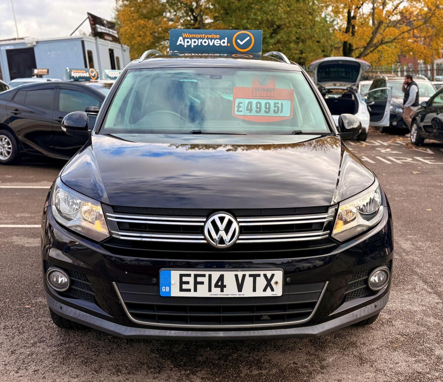 Used Volkswagen Tiguan 2014 for sale - 76332818: Photo 6