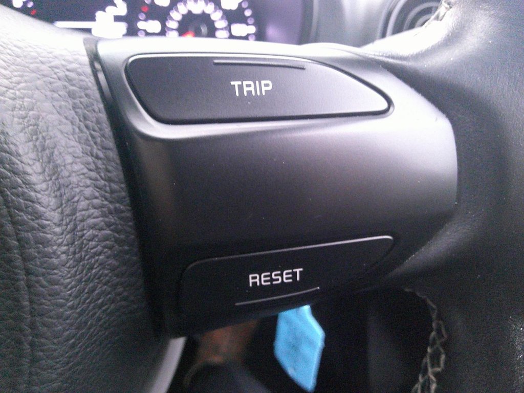 Used Kia Picanto 2017 for sale - 77027472: Photo 15