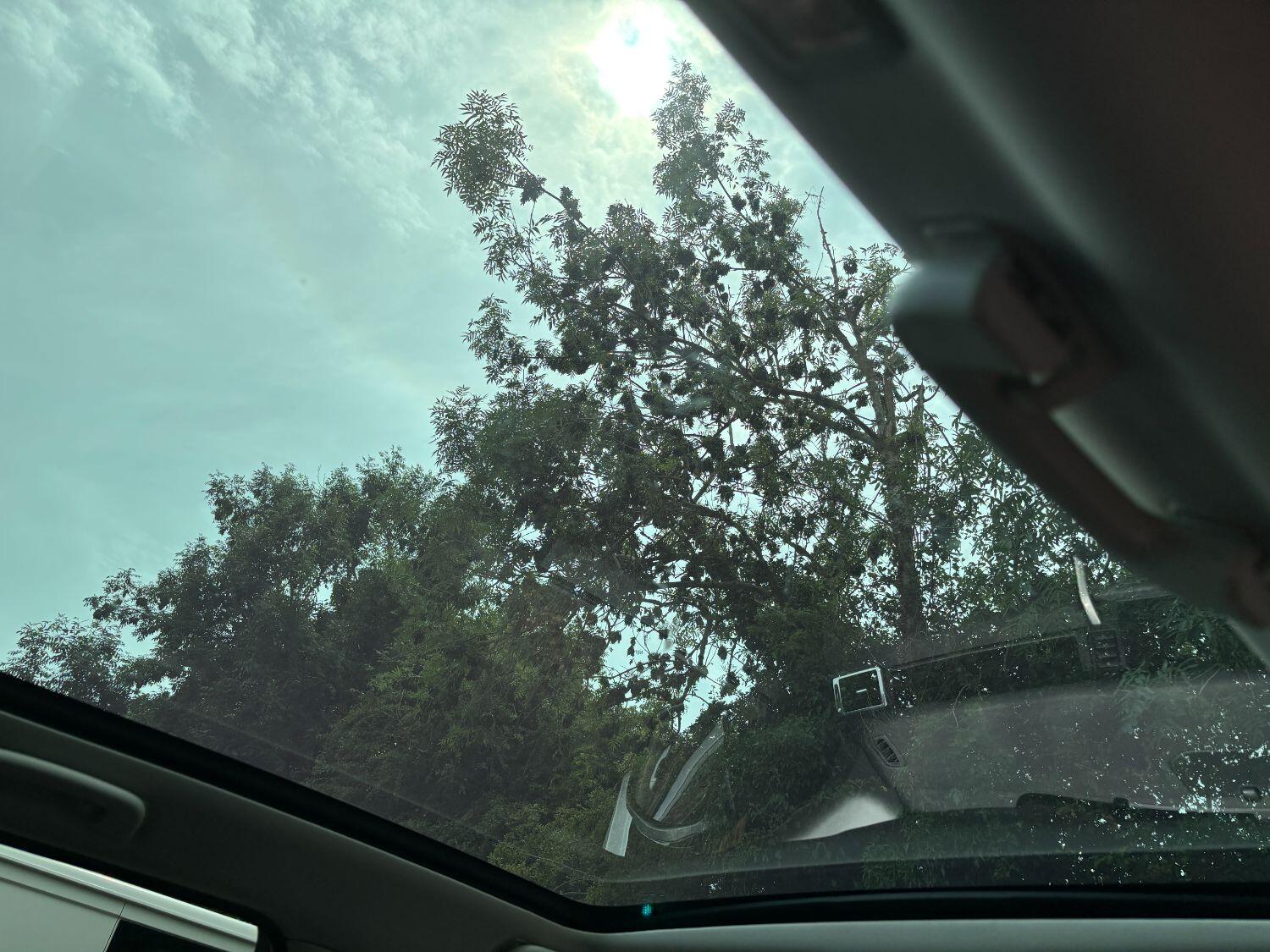 Used Land Rover Discovery Sport 2016 for sale - 77555053: Photo 43