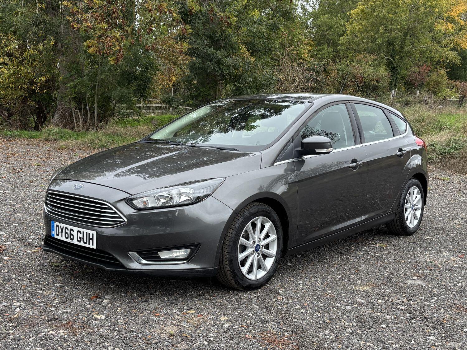 Used Ford Focus 2016 for sale - 76242916: Photo 11
