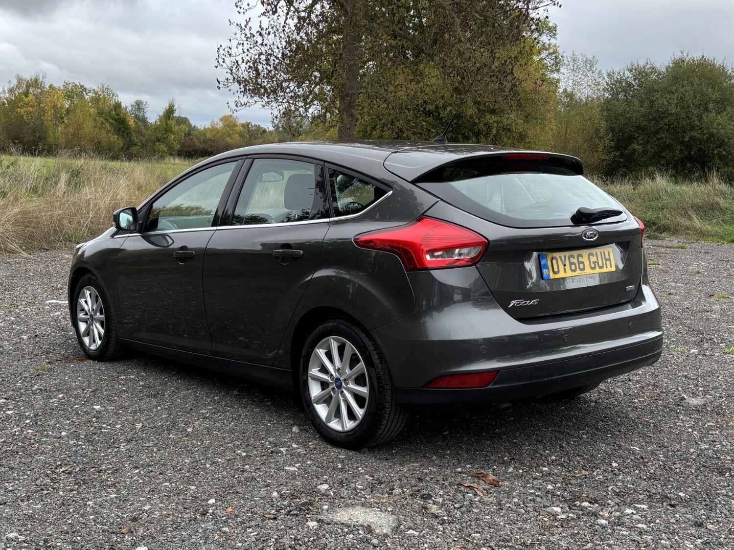 Used Ford Focus 2016 for sale - 76242916: Photo 3