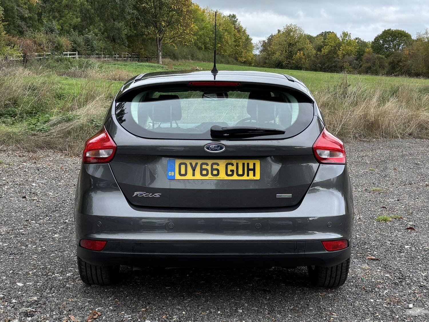 Used Ford Focus 2016 for sale - 76242916: Photo 6