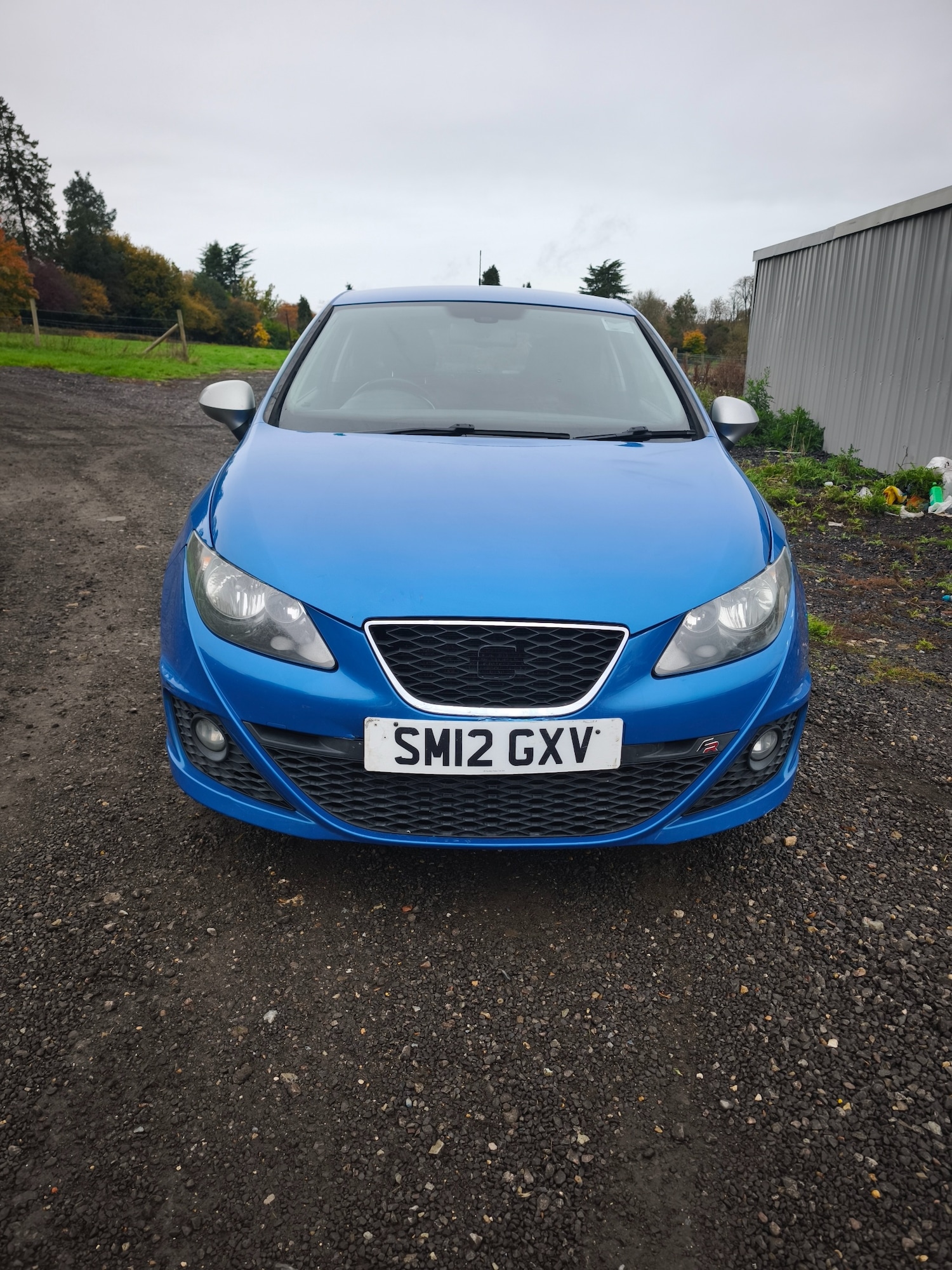 Used SEAT Ibiza 2012 for sale - 76415648: Photo 2