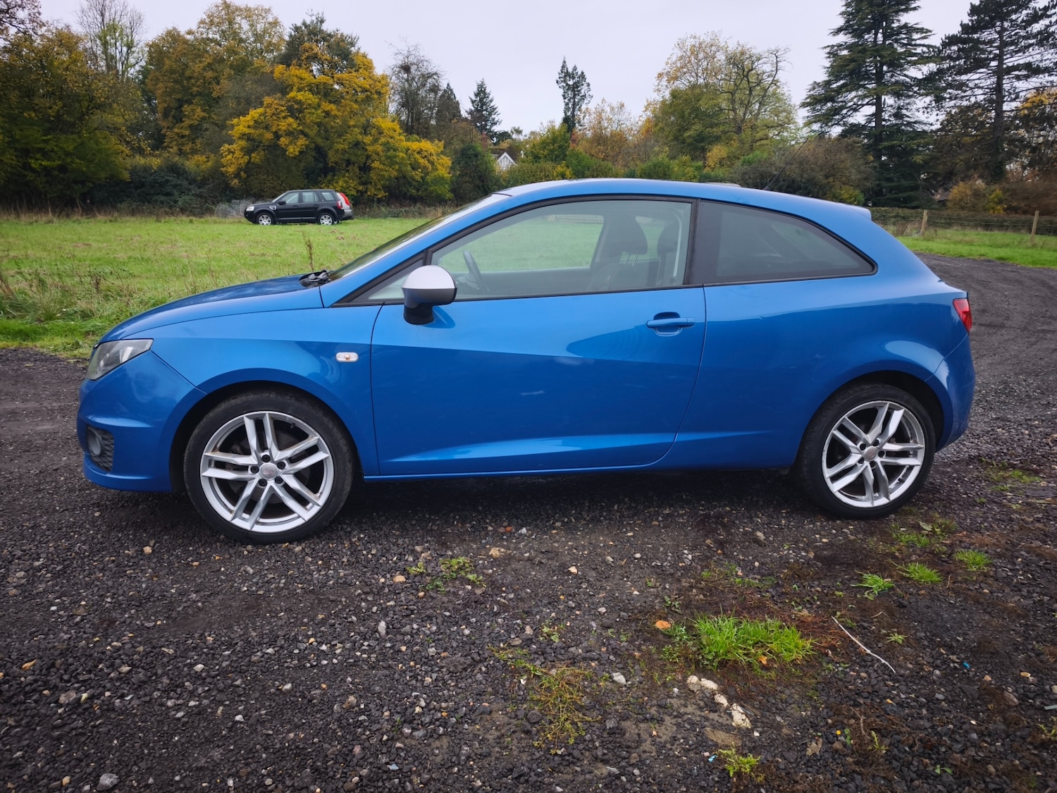 Used SEAT Ibiza 2012 for sale - 76415648: Photo 4