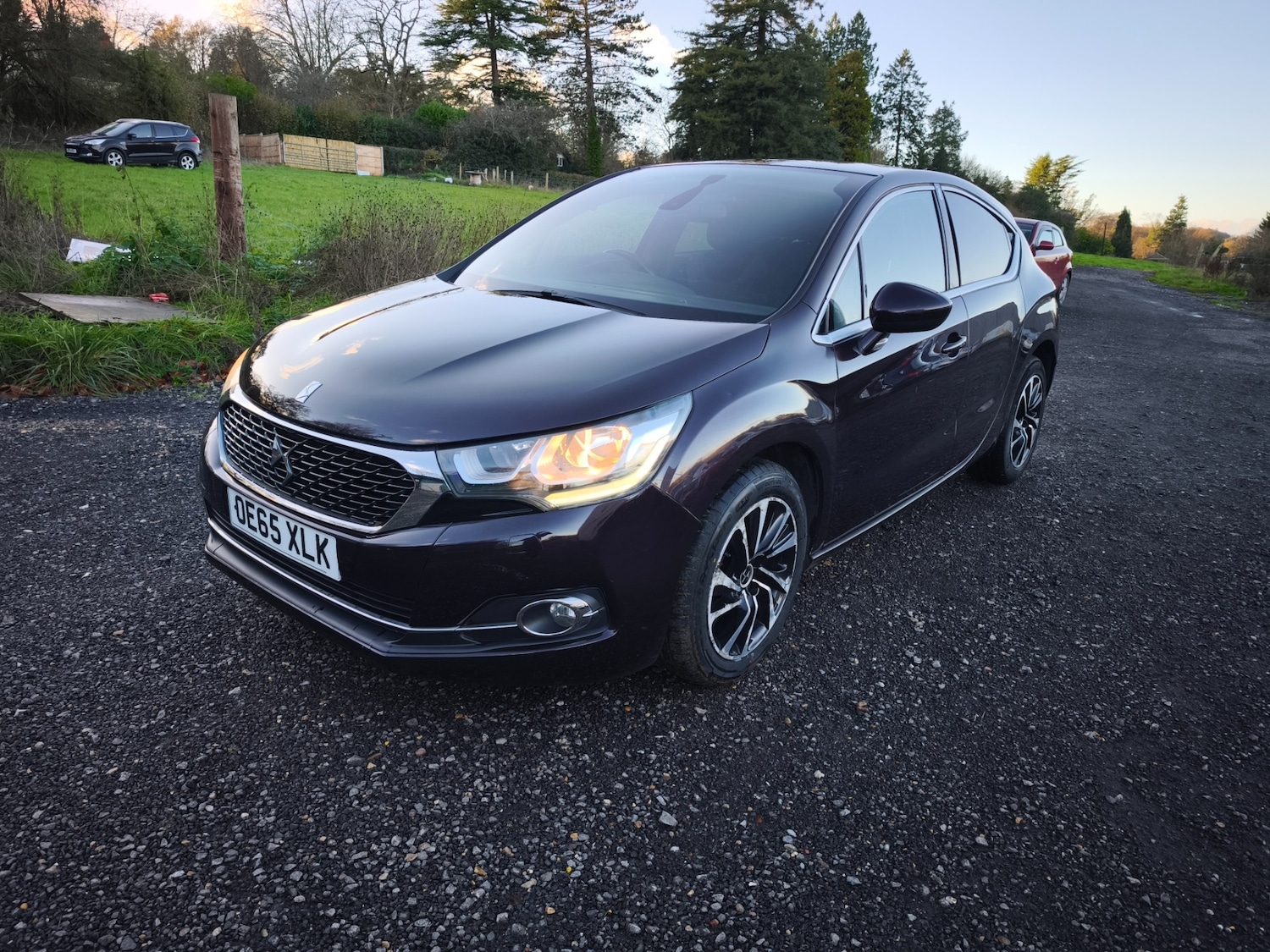 Used DS Automobiles DS 4 2016 for sale - 76670835: Photo 3