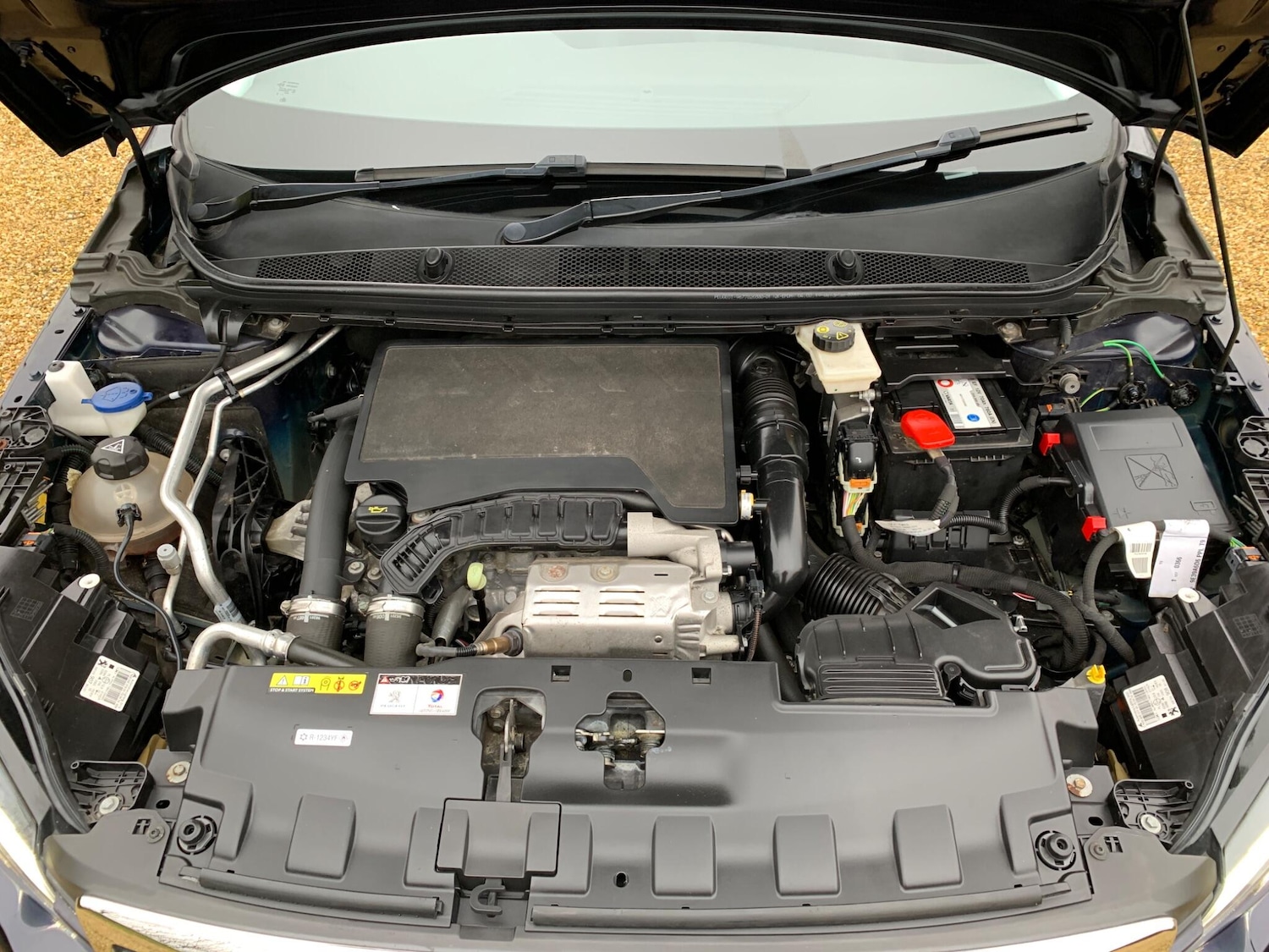 Used Peugeot 308 2019 for sale - 77424743: Photo 33