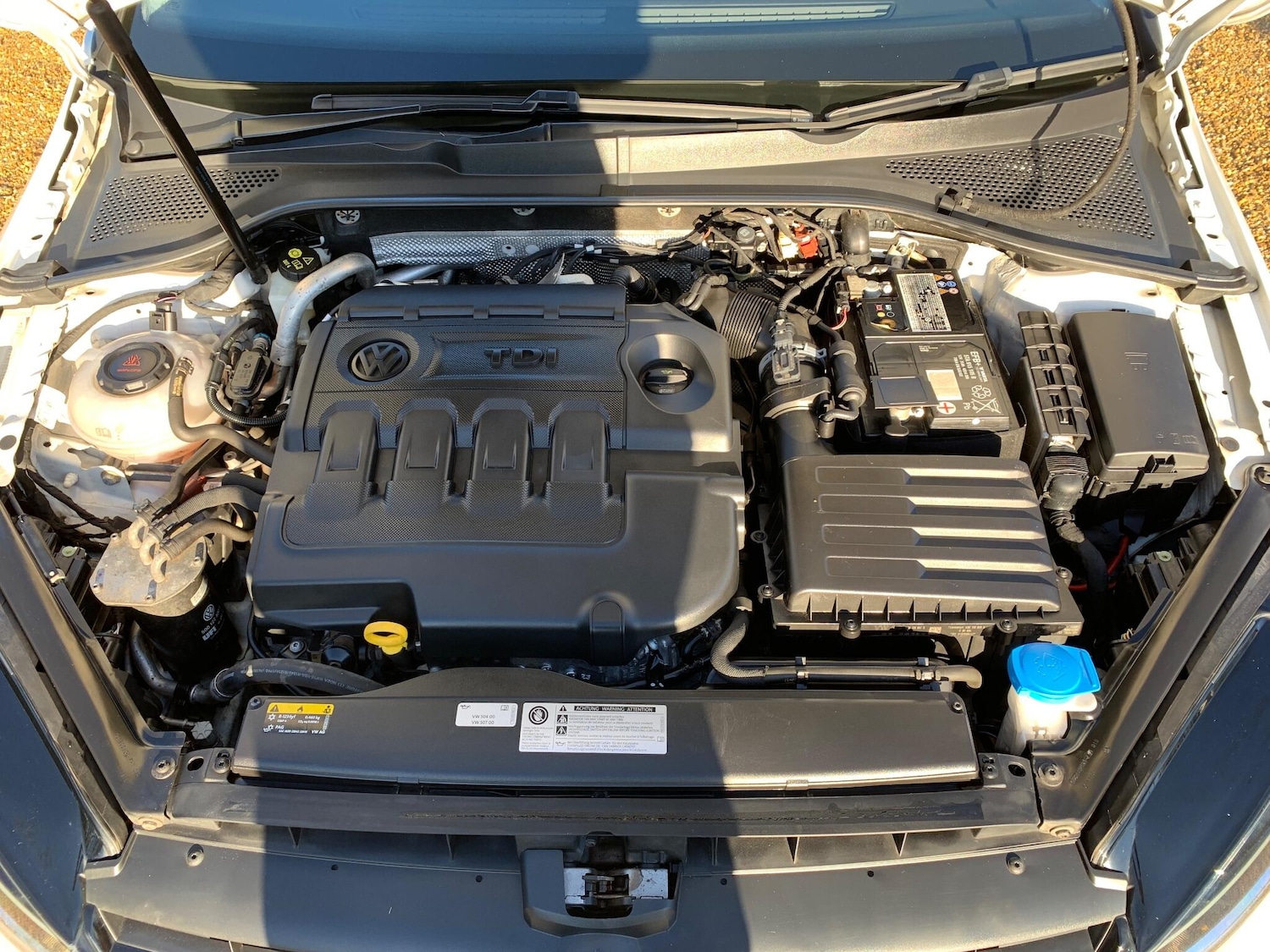 Used Volkswagen Golf 2019 for sale - 77175754: Photo 21