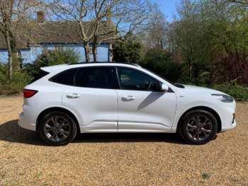 Used Ford Kuga 2021 for sale - 74323400: Photo