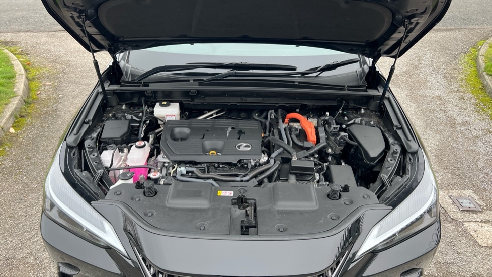 Used Lexus NX 2022 for sale - 76501533: Photo 16