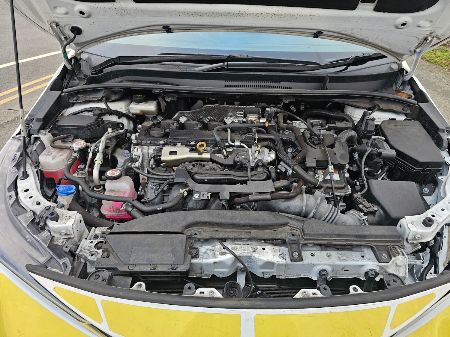 Used Toyota Corolla 2023 for sale - 77051727: Photo 10