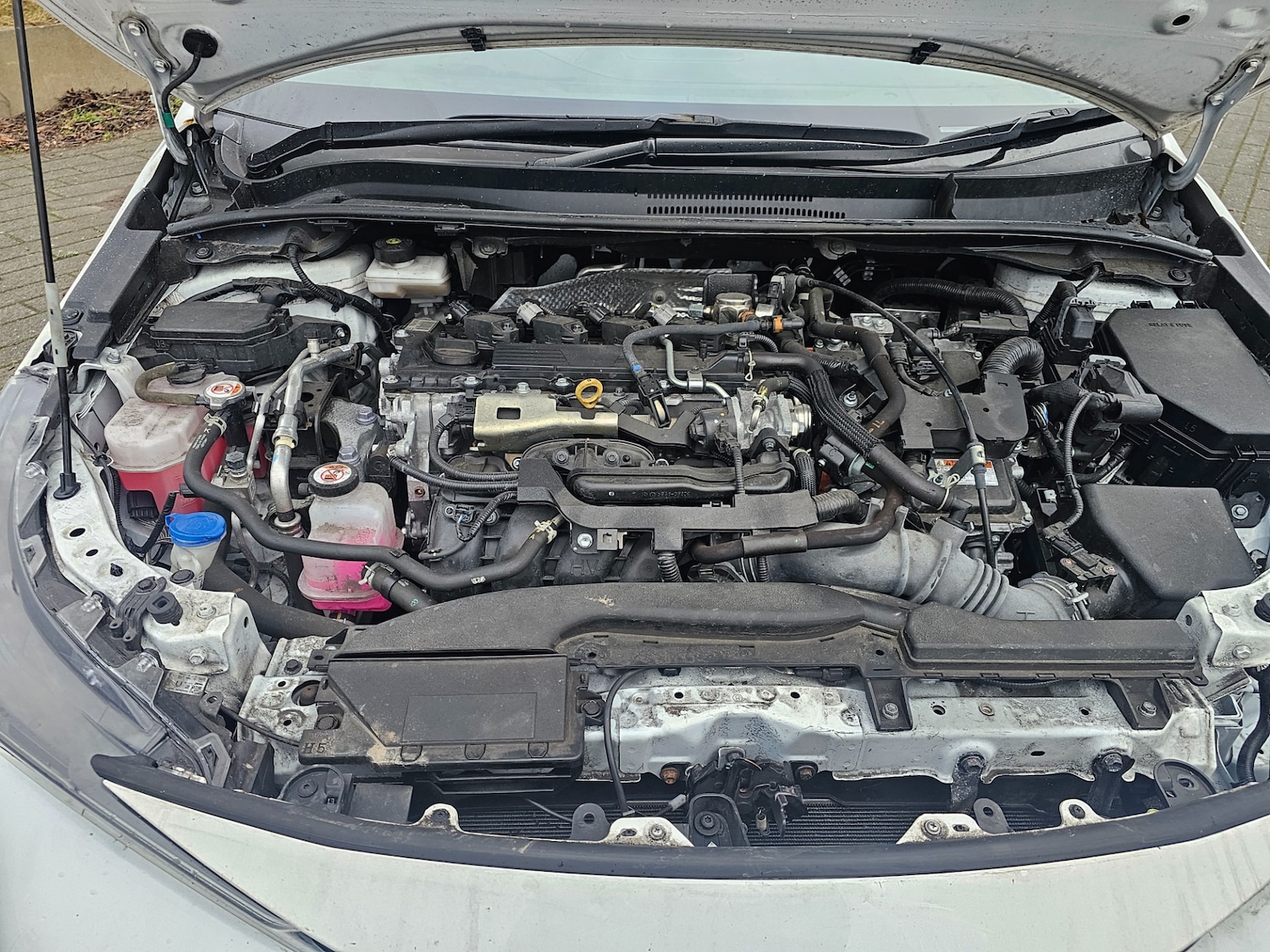 Used Toyota Corolla 2023 for sale - 77557010: Photo 9