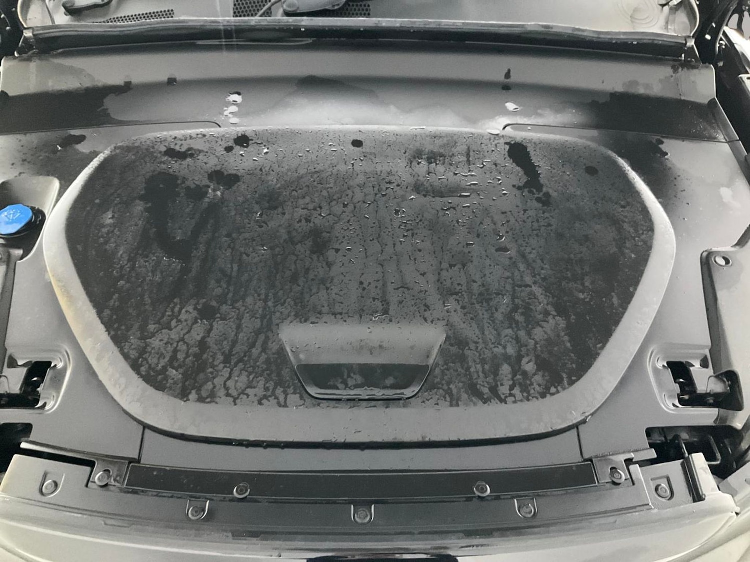 Used Volvo XC40 for sale - 76969476: Photo 31