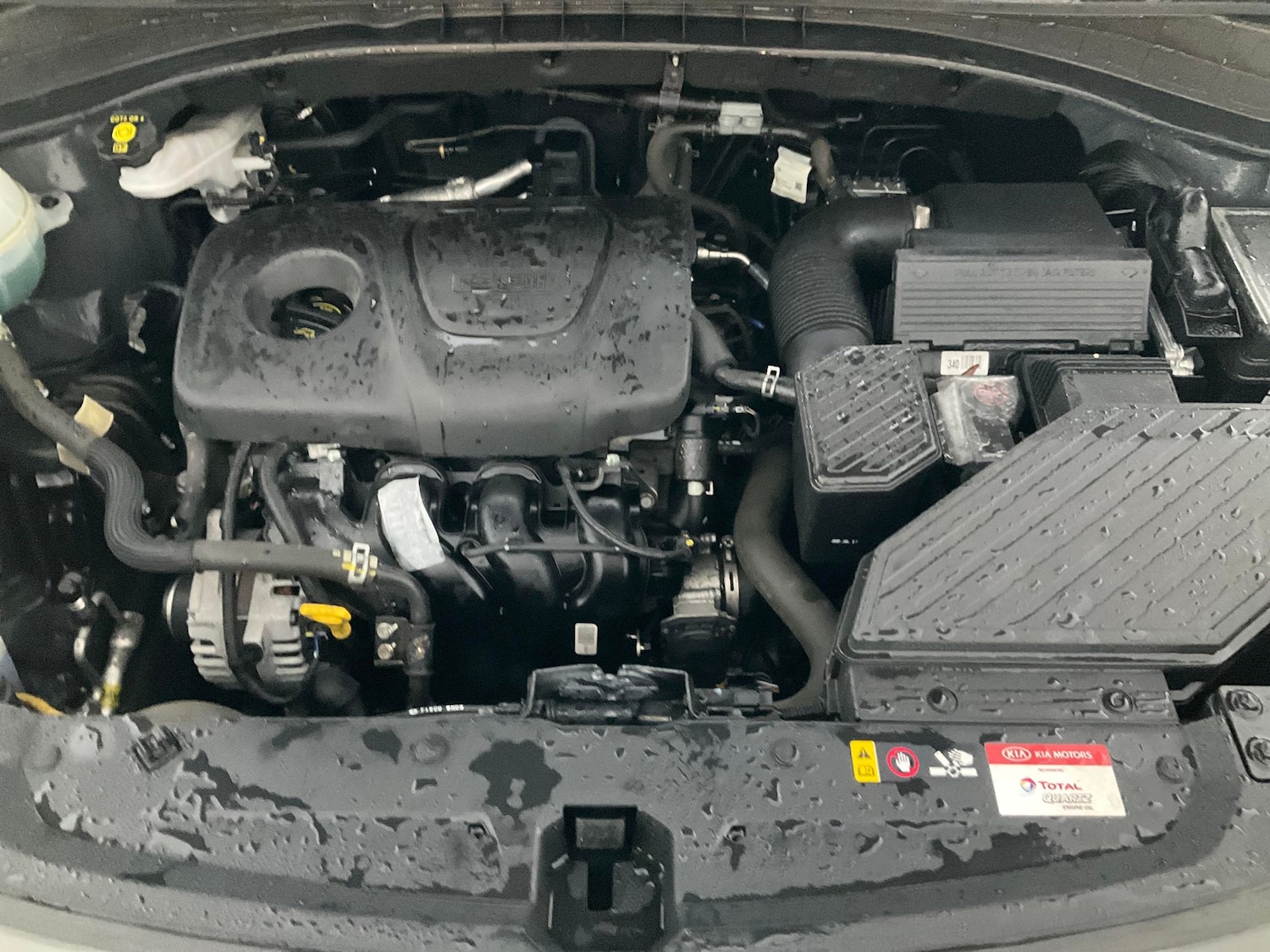 Used Kia Sportage 2019 for sale - 76447386: Photo 39