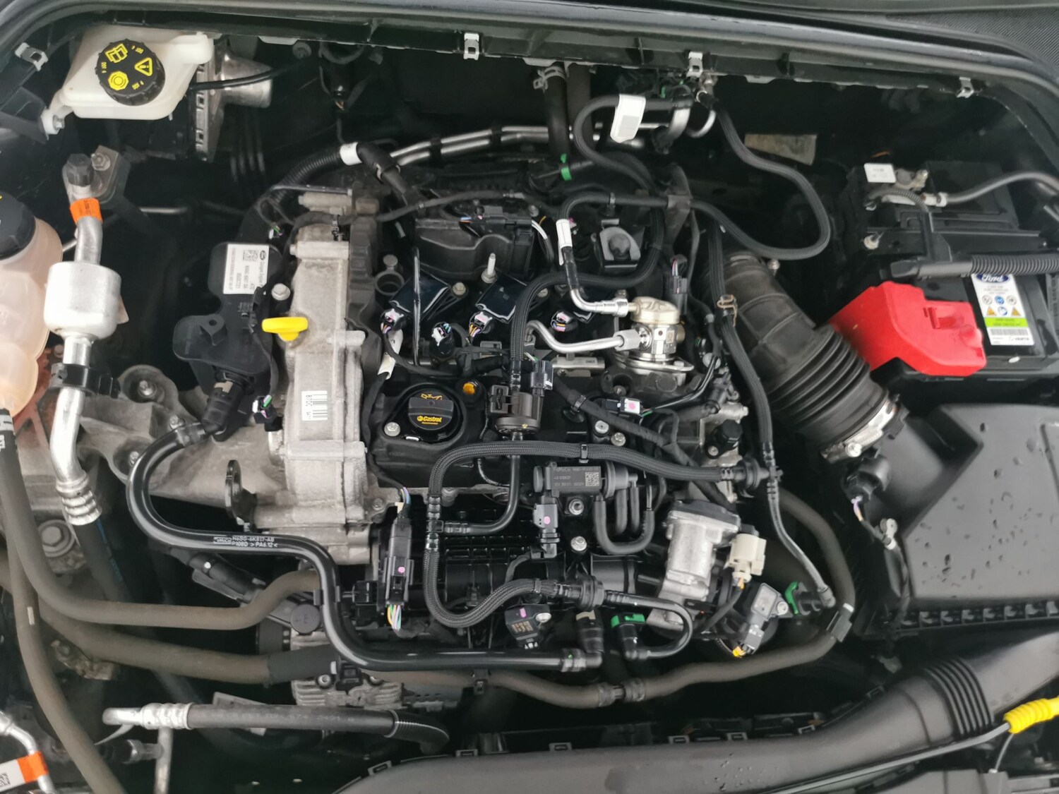 Used Ford Focus 2021 for sale - 77743365: Photo 34