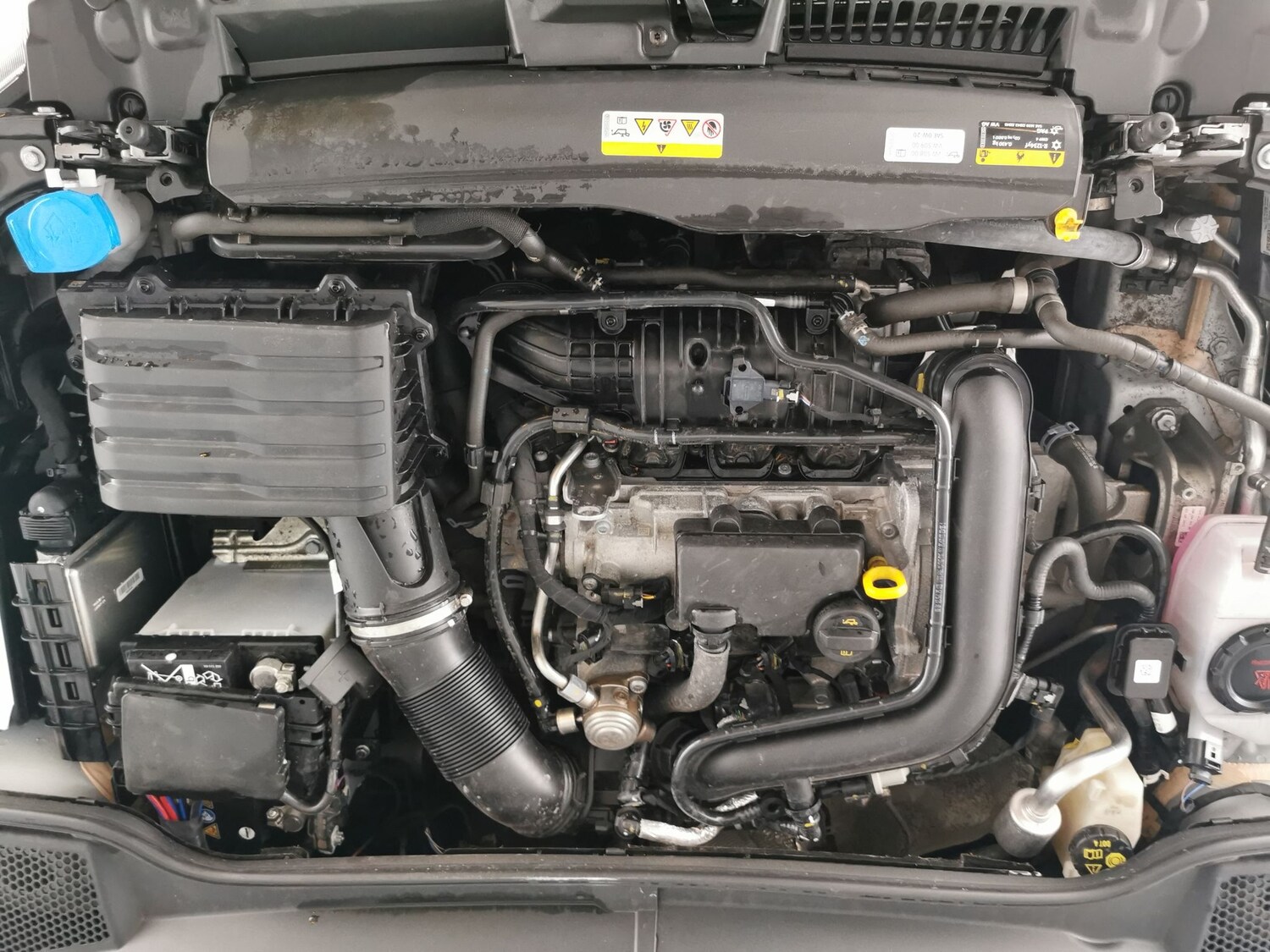 Used SEAT Ibiza 2023 for sale - 77418101: Photo 31