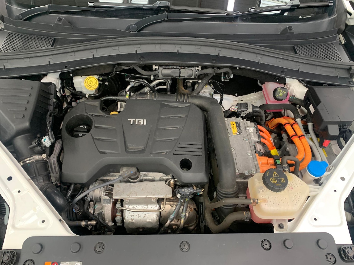 Used MG MG HS 2023 for sale - 76892656: Photo 32