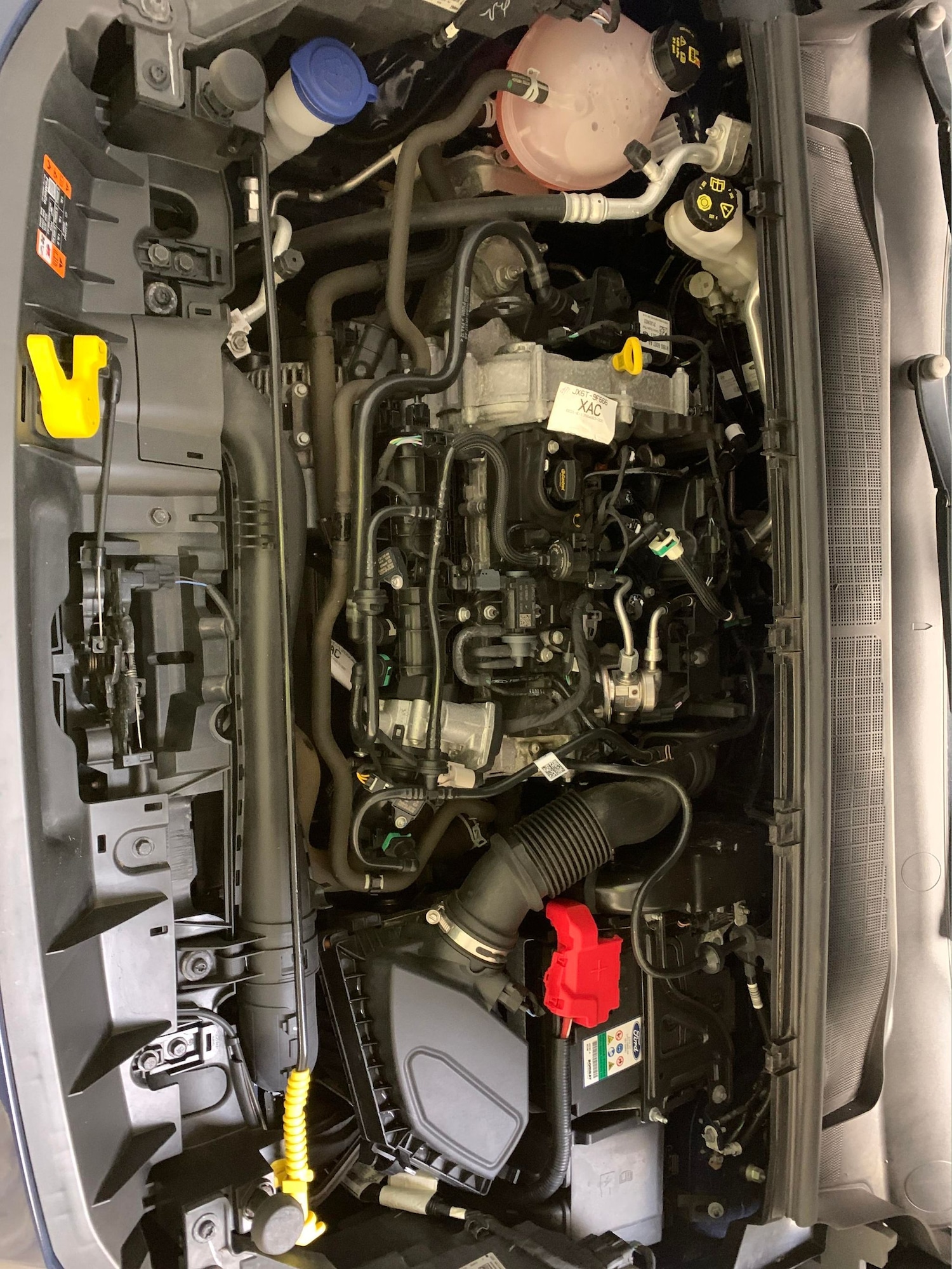 Vehicle 44