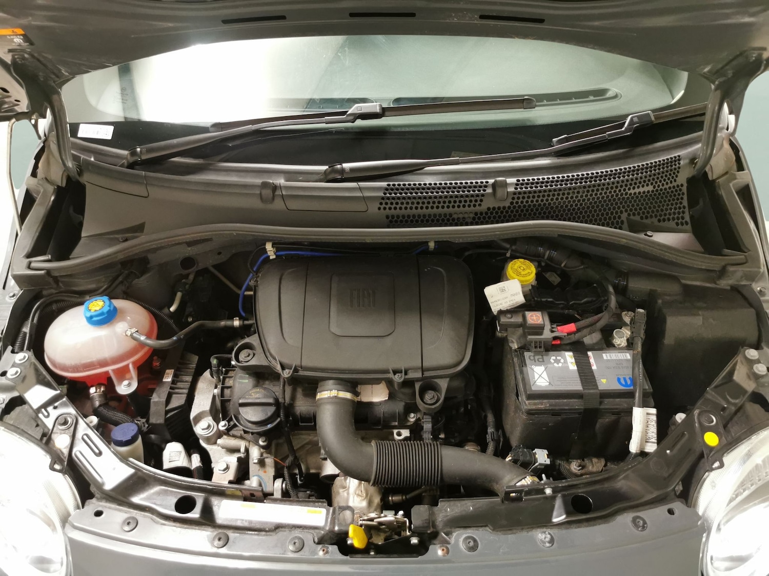 Used Fiat 500 2021 for sale - 77543447: Photo 23