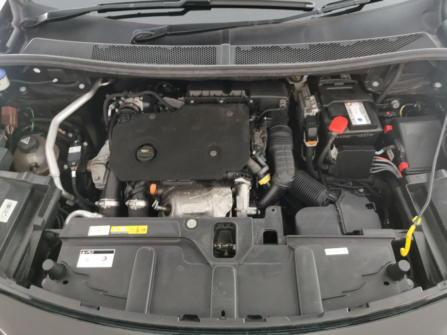 Used Peugeot 3008 2019 for sale - 78211020: Photo 36