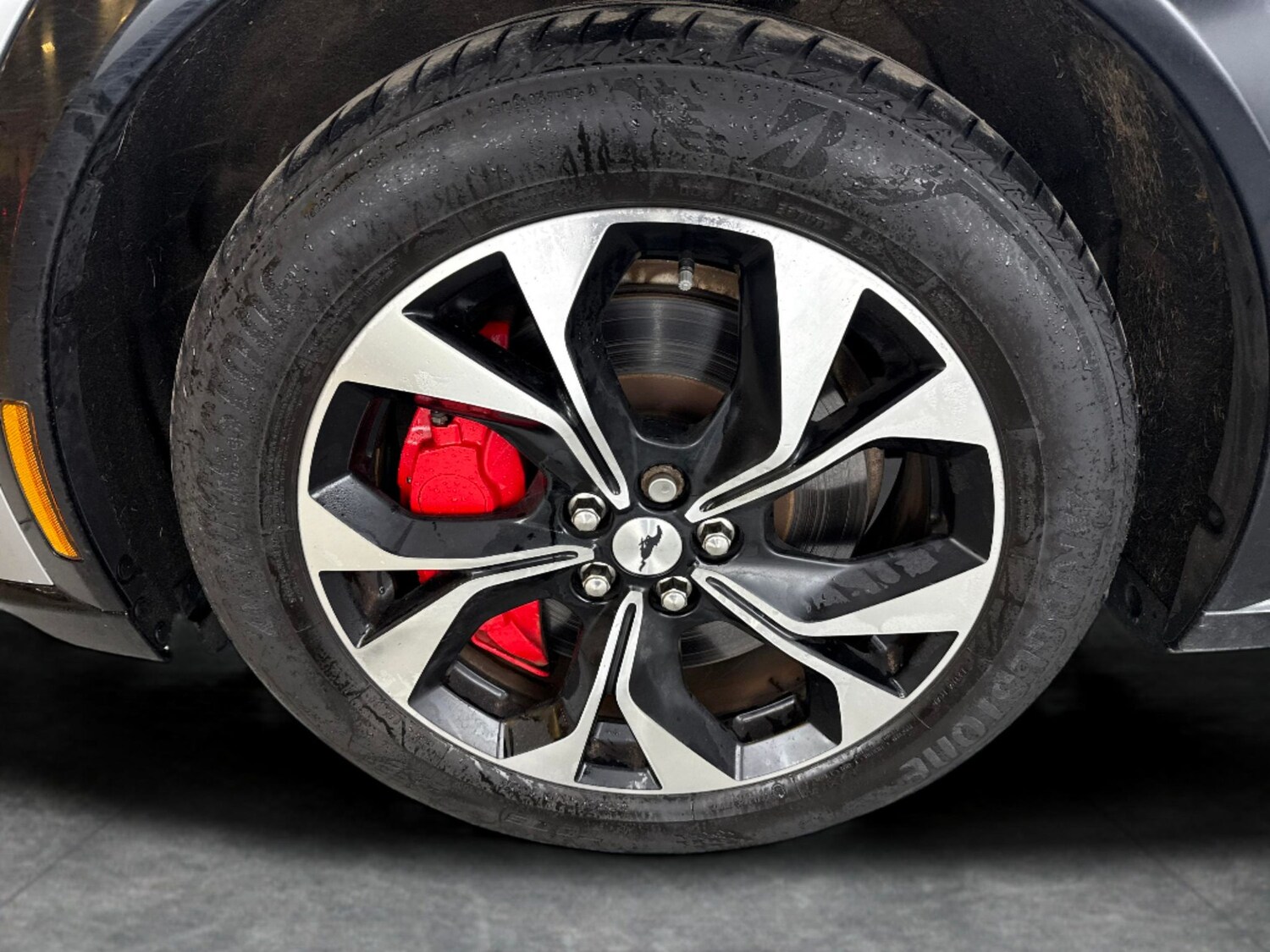 Used Ford Mustang Mach-E for sale - 77686163: Photo 24