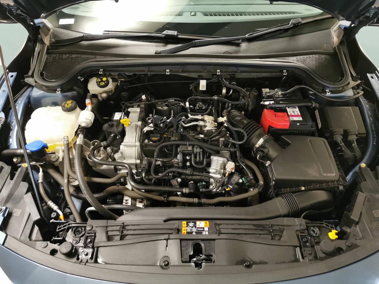 Used Ford Focus 2023 for sale - 77061959: Photo 28