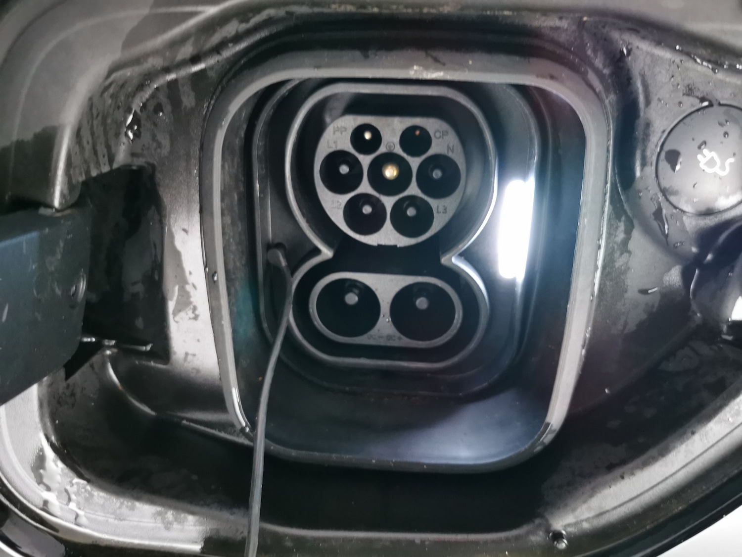 Used Polestar Polestar 2 for sale - 77418048: Photo 32