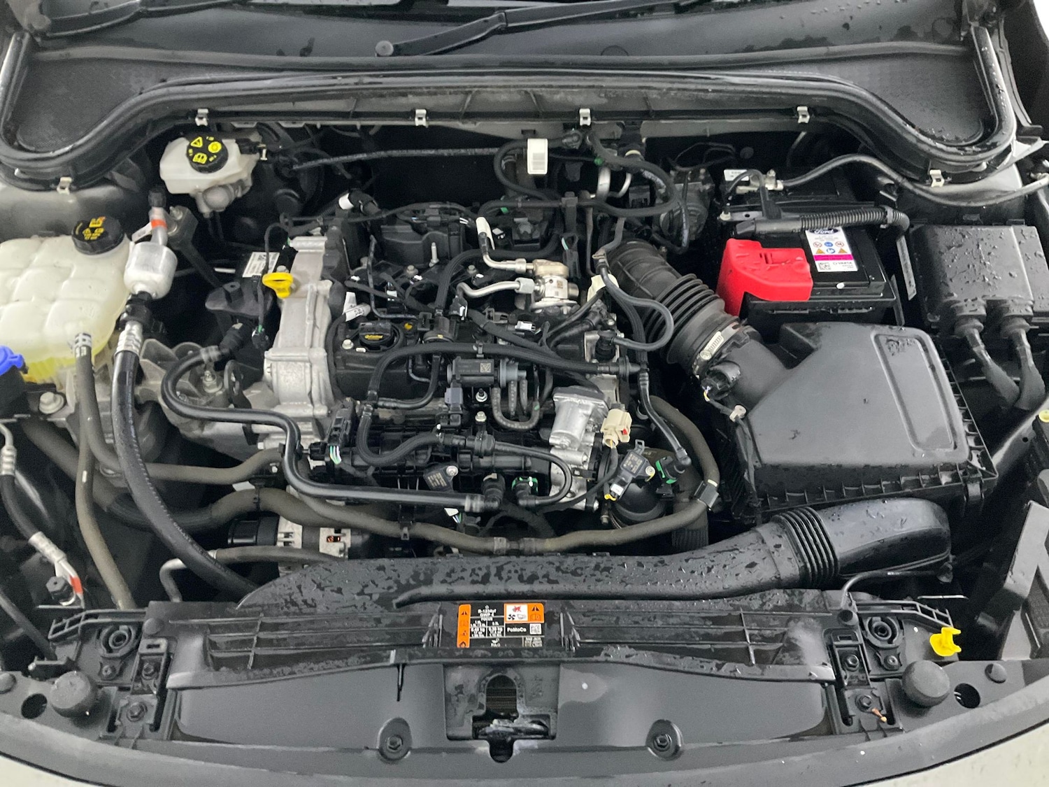 Used Ford Focus 2023 for sale - 76555039: Photo 33