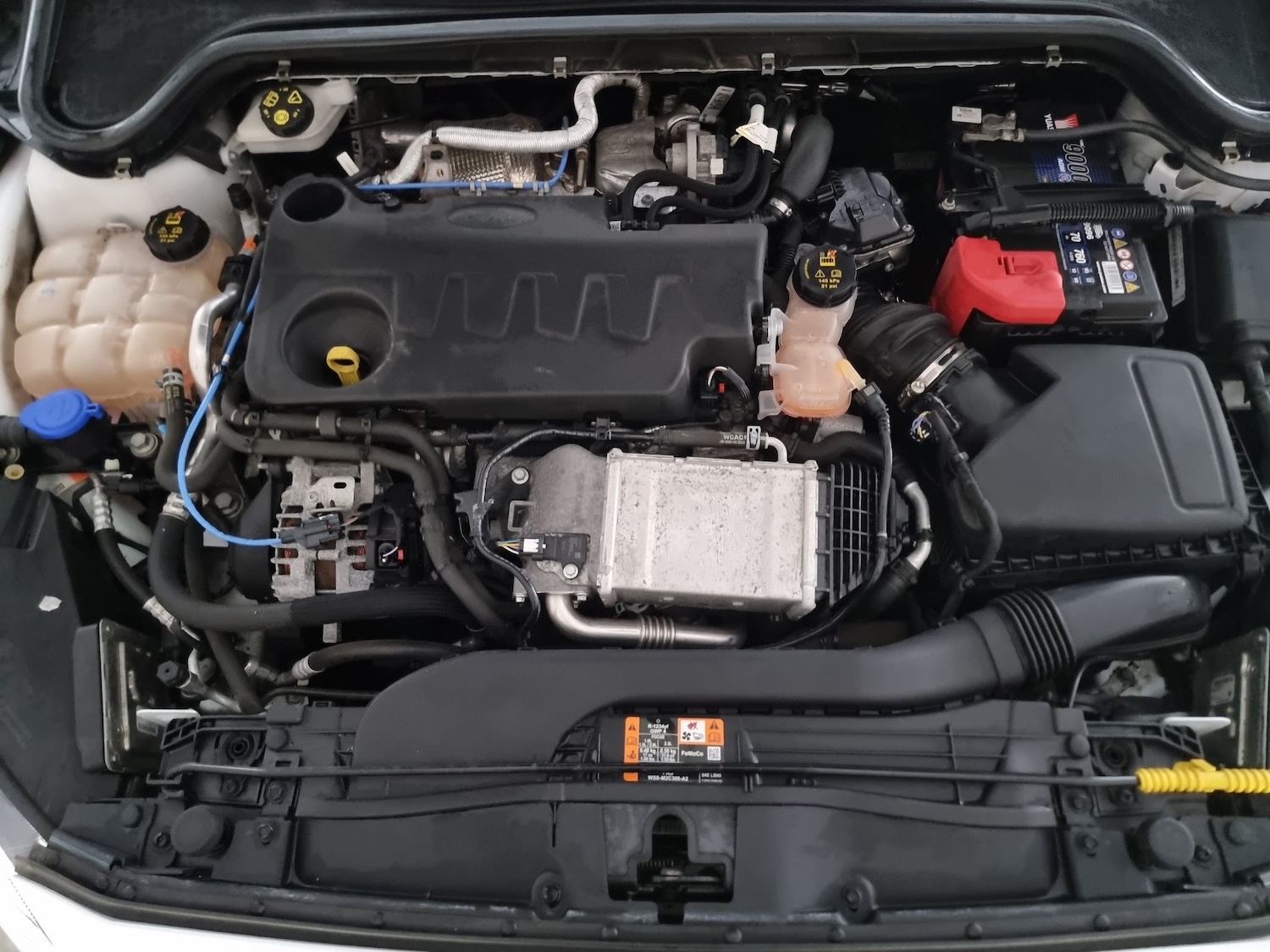 Used Ford Focus for sale - 76531927: Photo 36