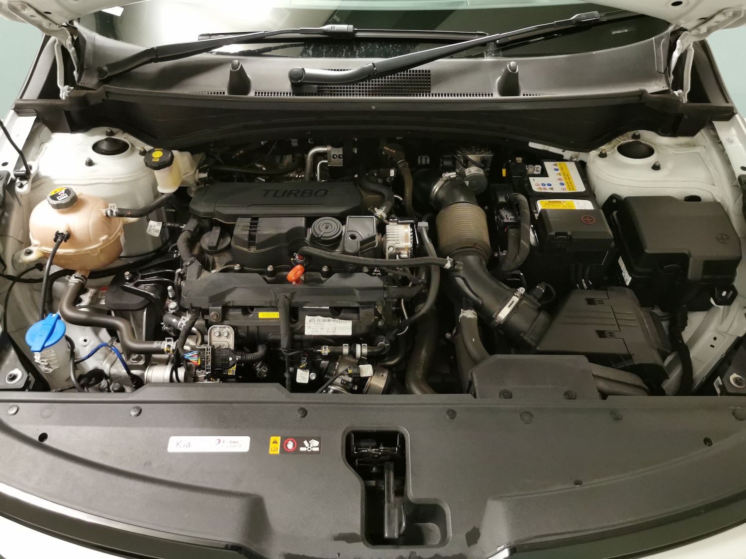 Used Kia Sportage 2023 for sale - 76415601: Photo 41