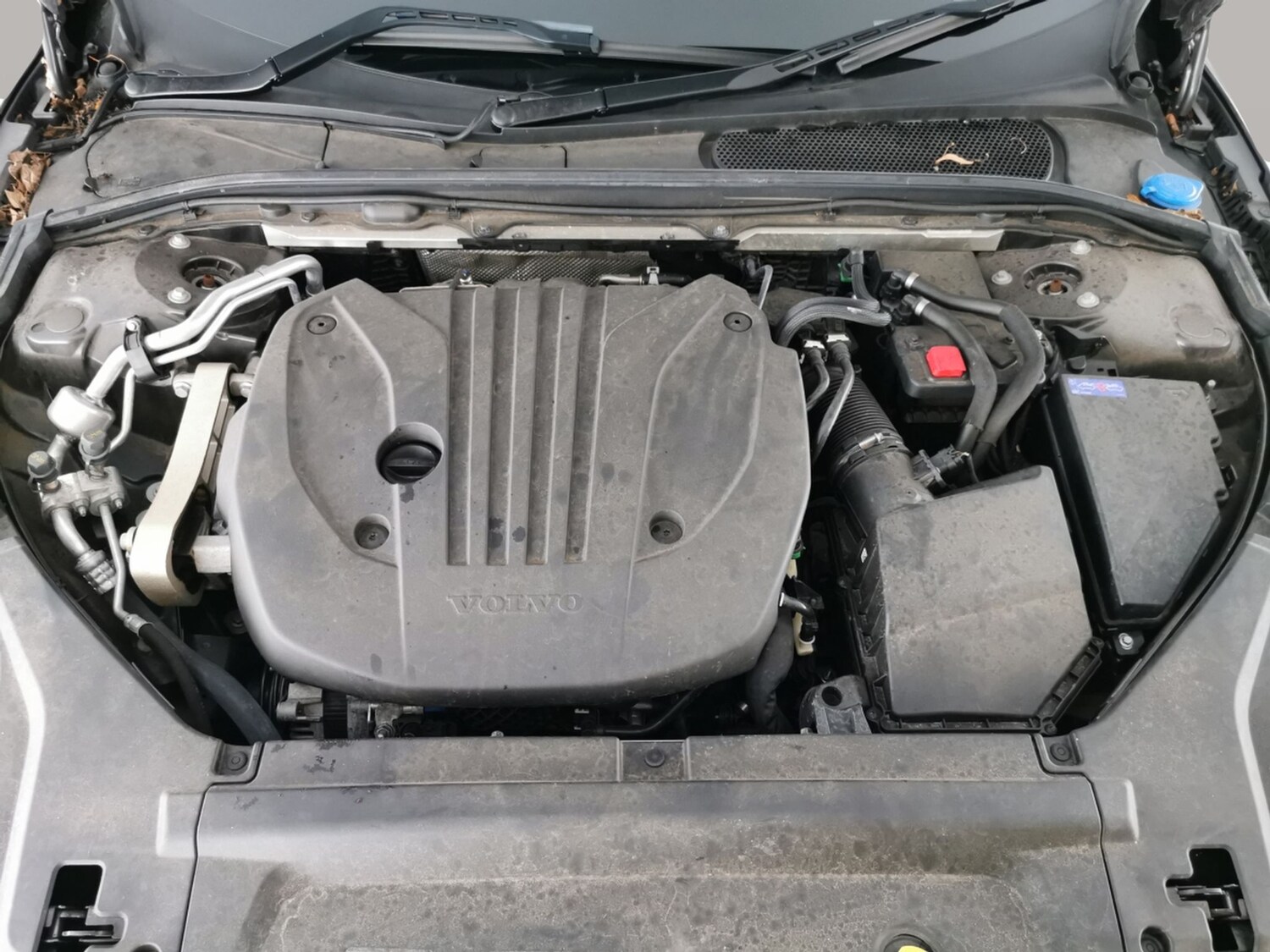 Used Volvo V90 2022 for sale - 77740451: Photo 33