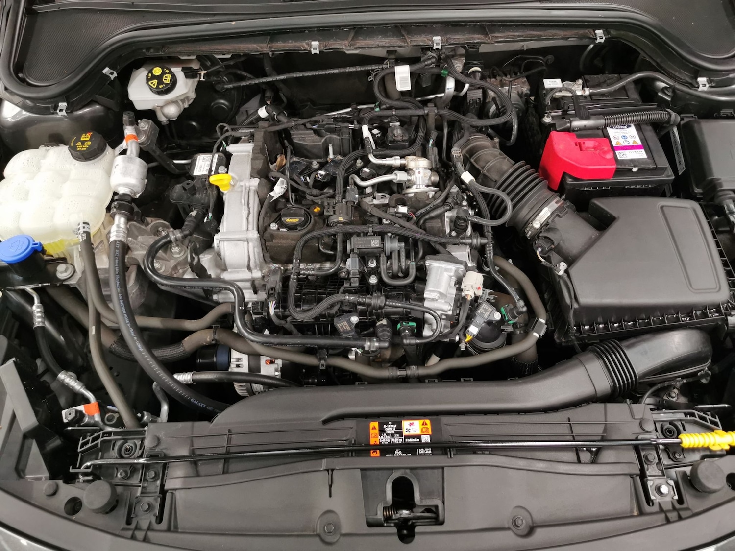 Used Ford Focus 2023 for sale - 77167454: Photo 30