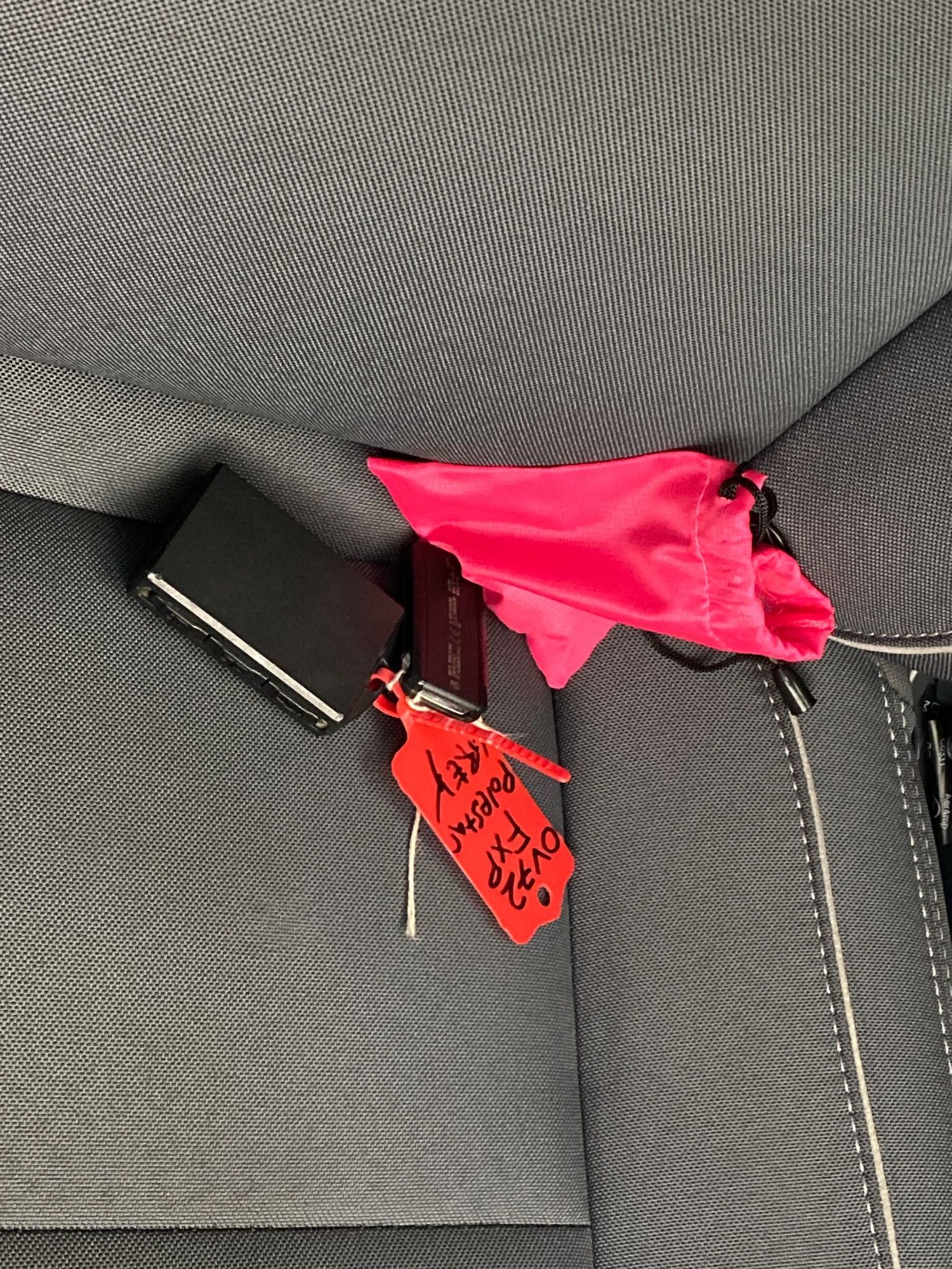 Used Polestar Polestar 2 2022 for sale - 77127936: Photo 29