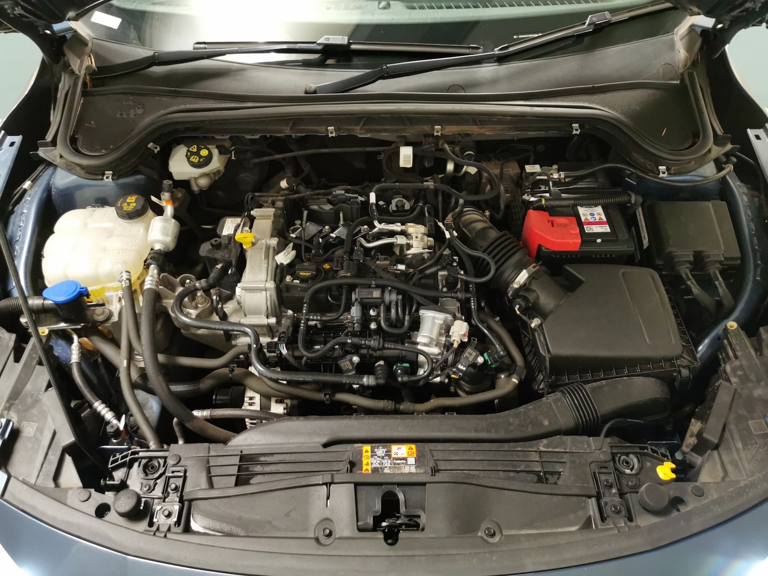 Used Ford Focus 2023 for sale - 76542556: Photo 34