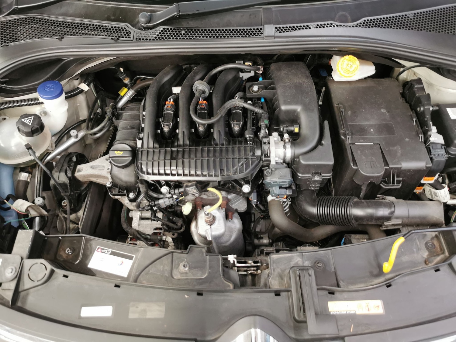 Used Citroen C3 2023 for sale - 77324310: Photo 7