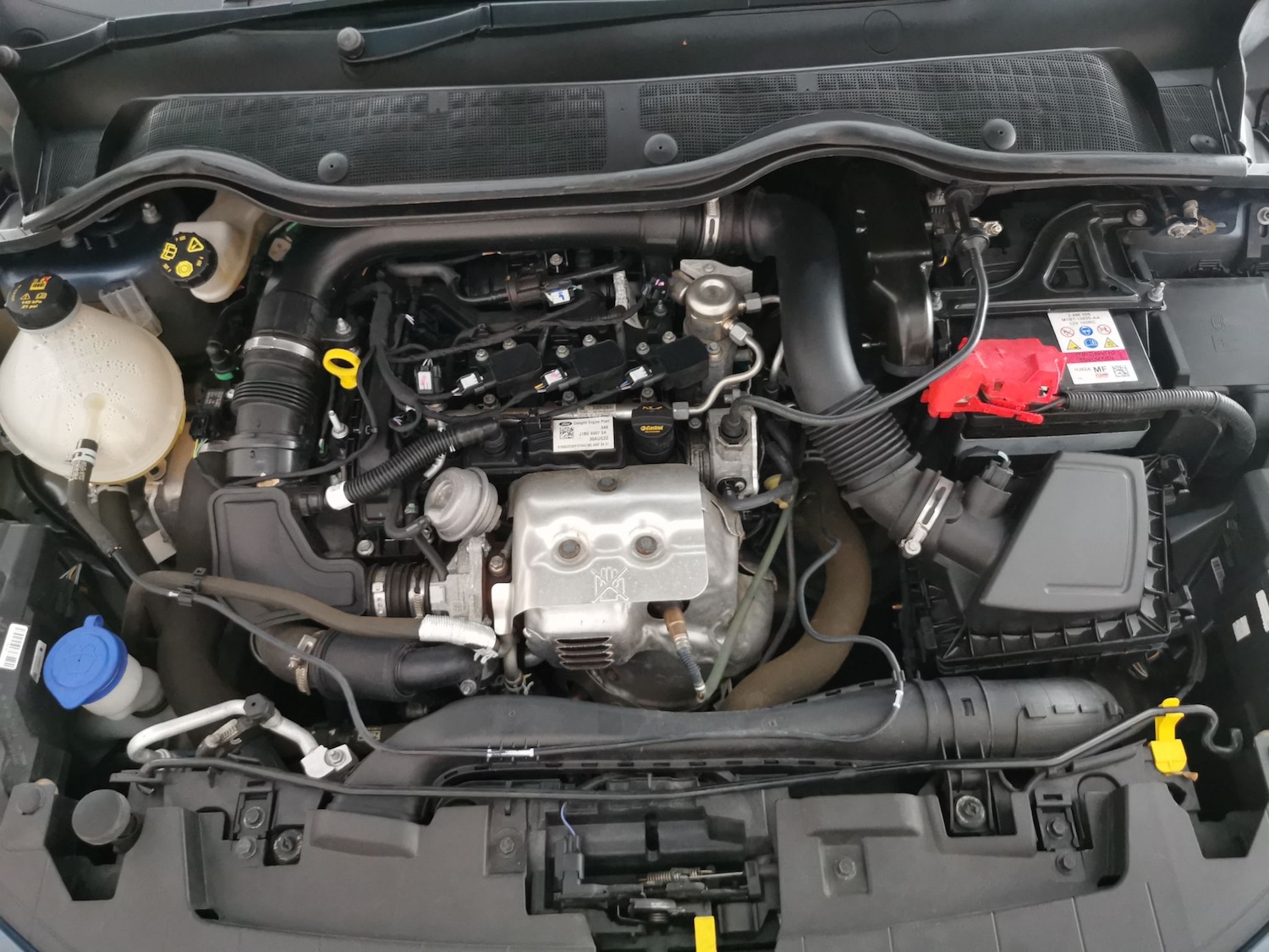 Used Ford Fiesta 2023 for sale - 77519593: Photo 29