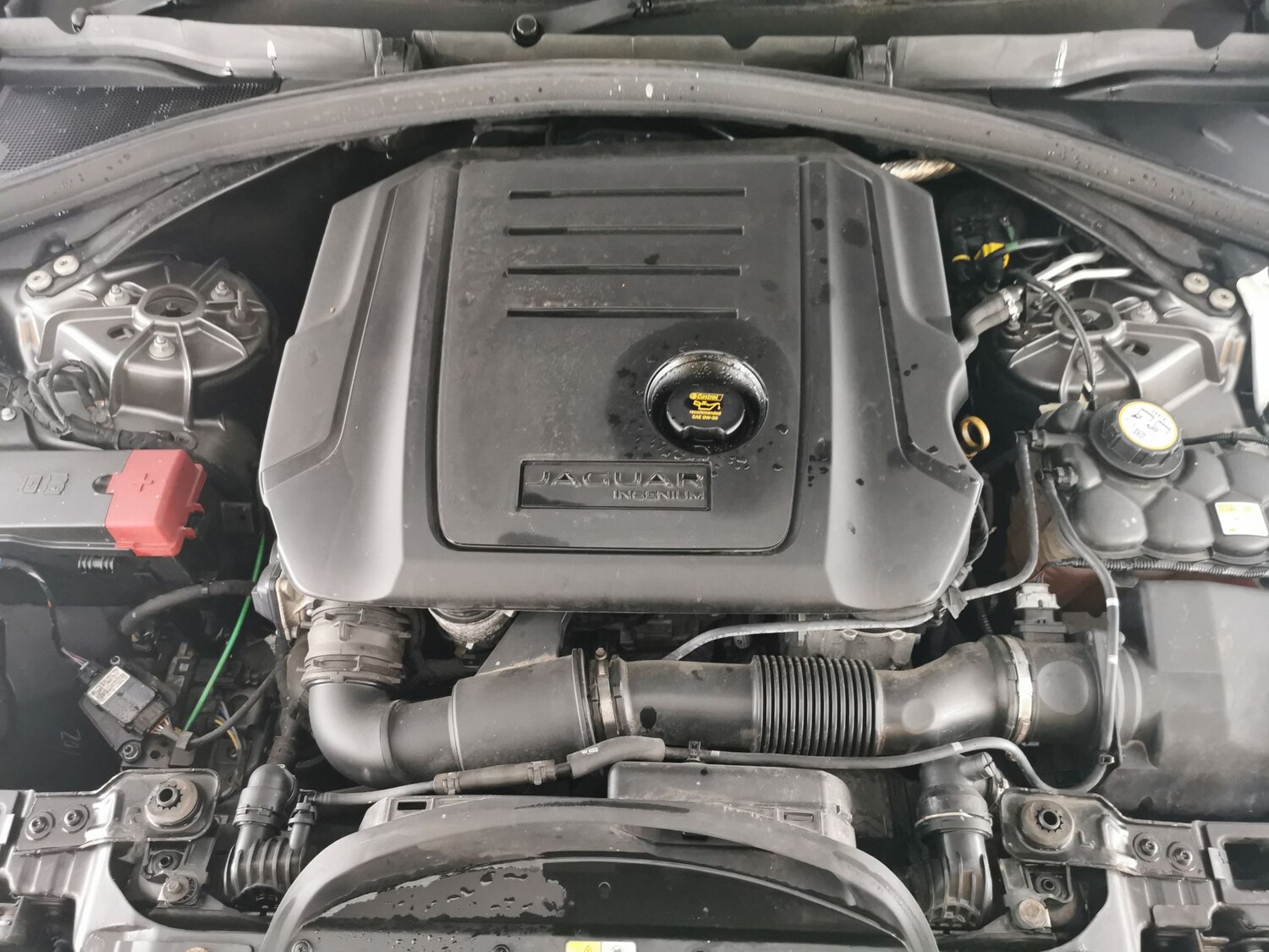 Used Jaguar F-Pace 2019 for sale - 78104022: Photo 38