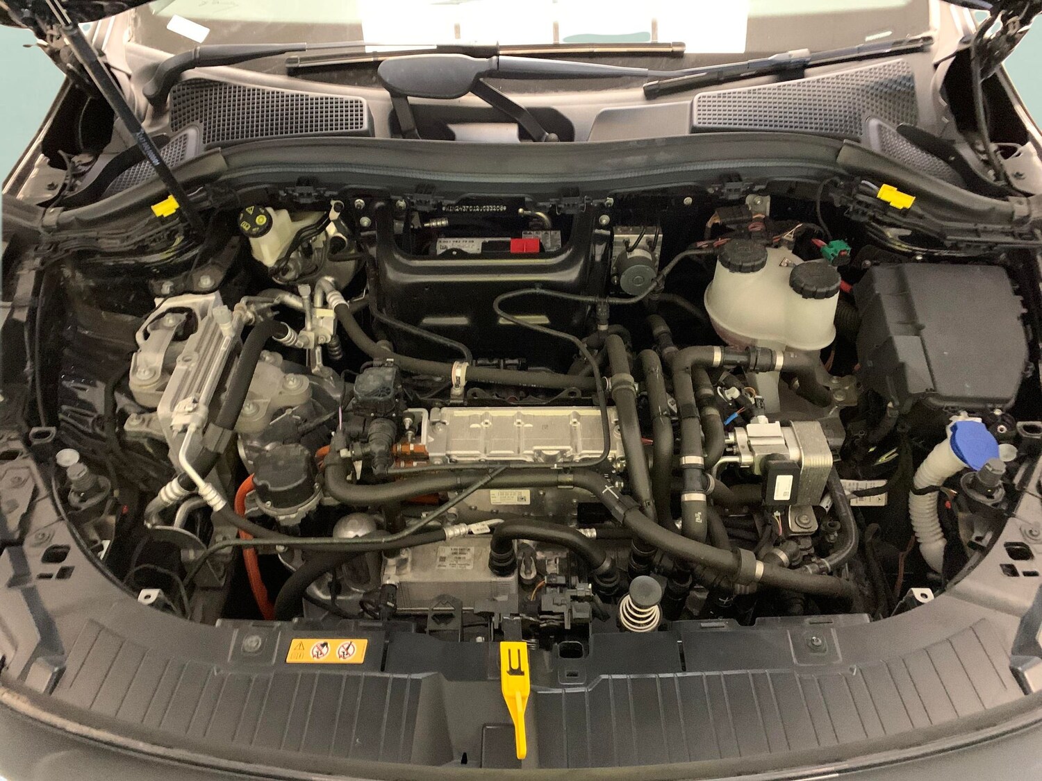 Vehicle 44
