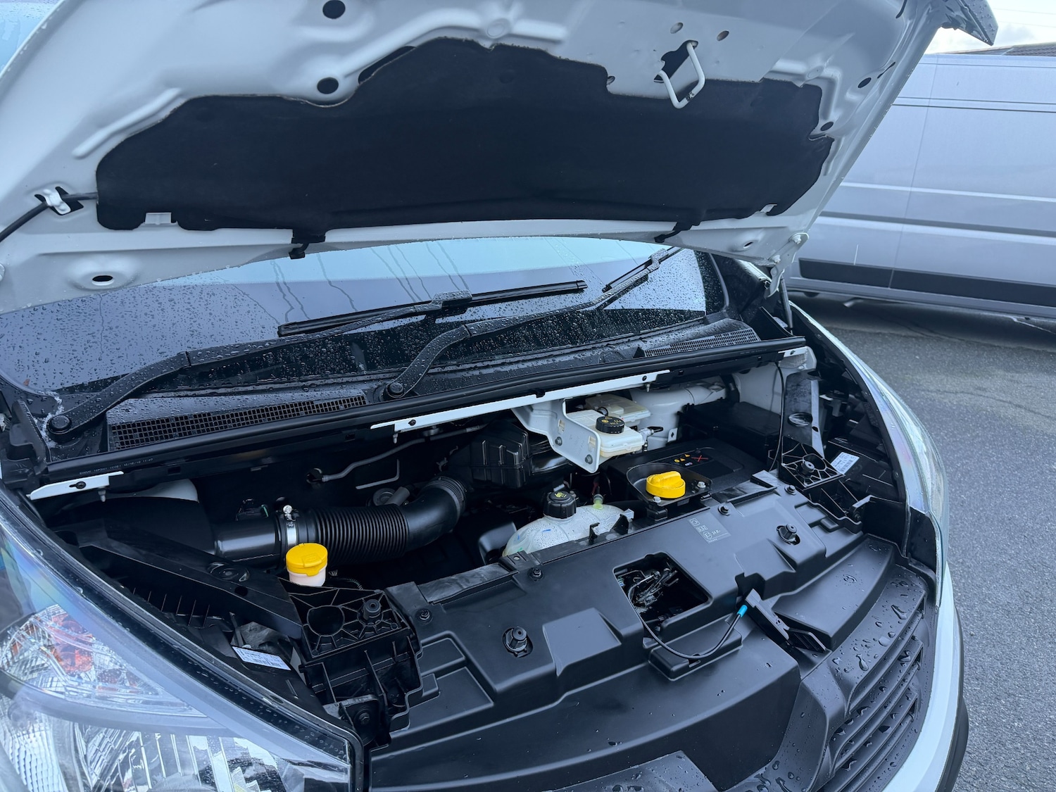 Used Renault Trafic 2019 for sale - 76268715: Photo 28