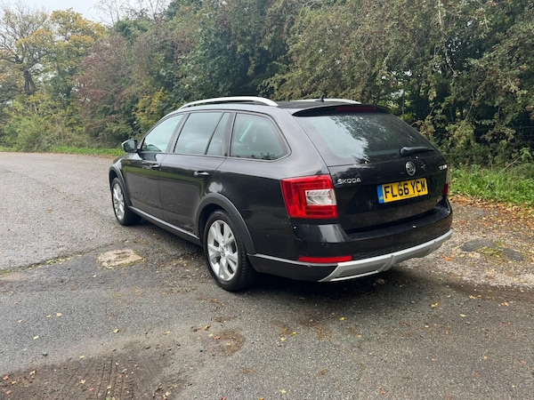 Used Skoda Octavia 2016 for sale - 76231008: Photo 15