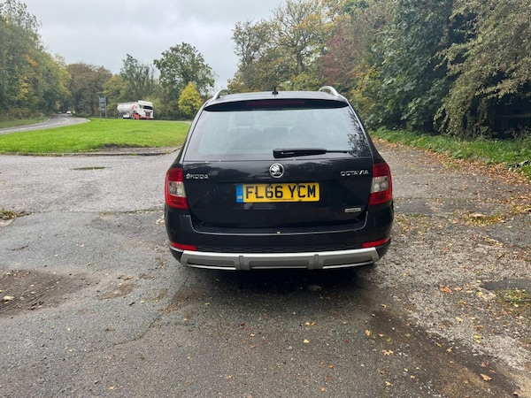 Used Skoda Octavia 2016 for sale - 76231008: Photo 3
