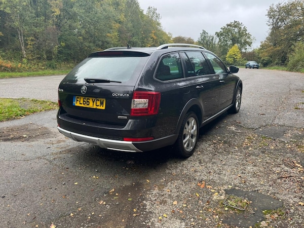 Used Skoda Octavia 2016 for sale - 76231008: Photo 8