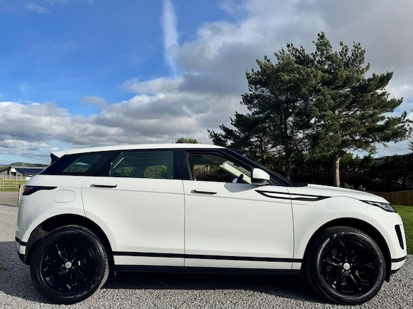 Used Land Rover Range Rover Evoque 2019 for sale - 75385853: Photo 5